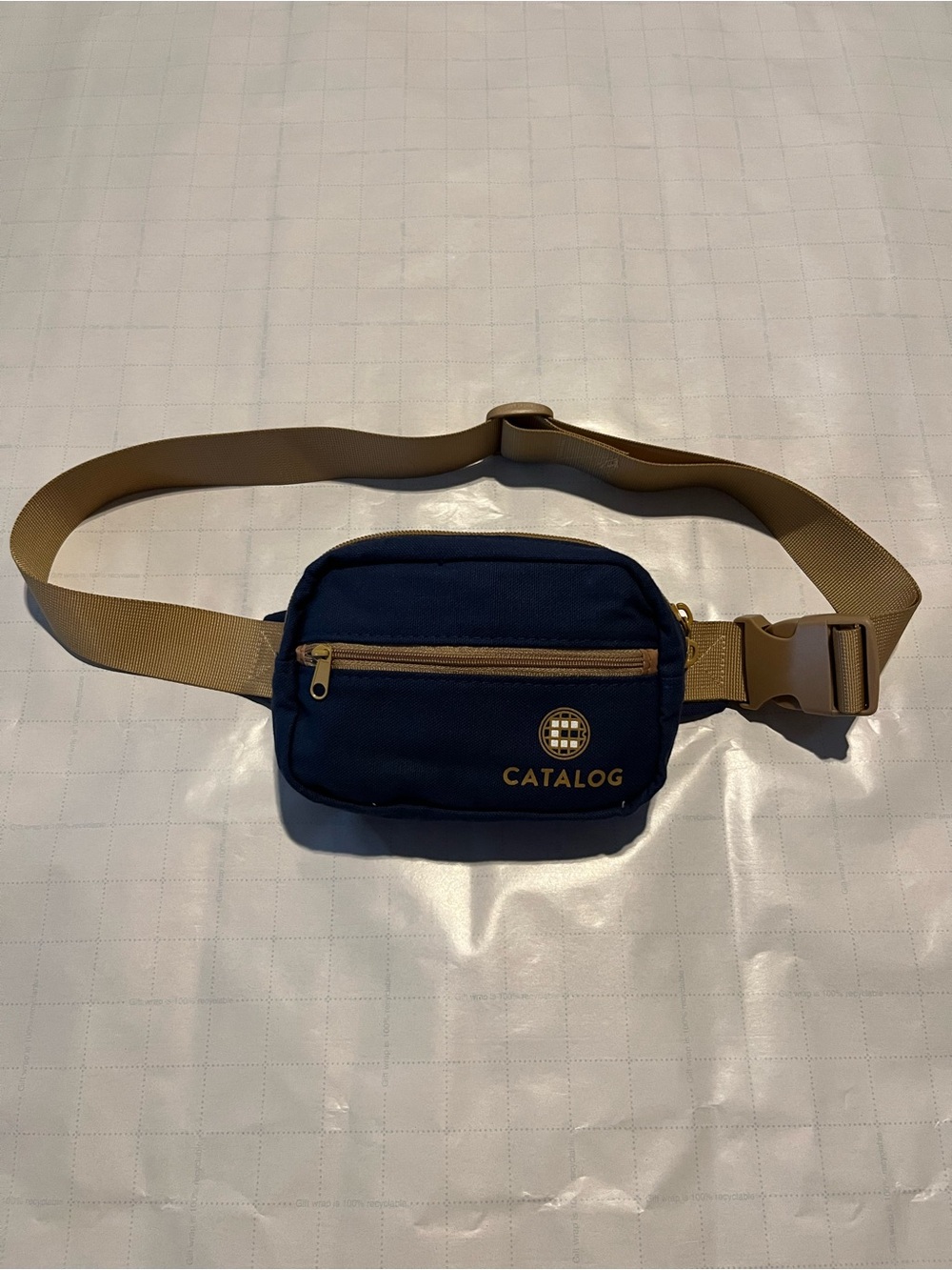 Catalog Navy and Tan Belt Bag